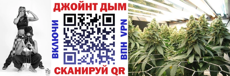 Шишки марихуана марихуана  хочу наркоту  Суджа 